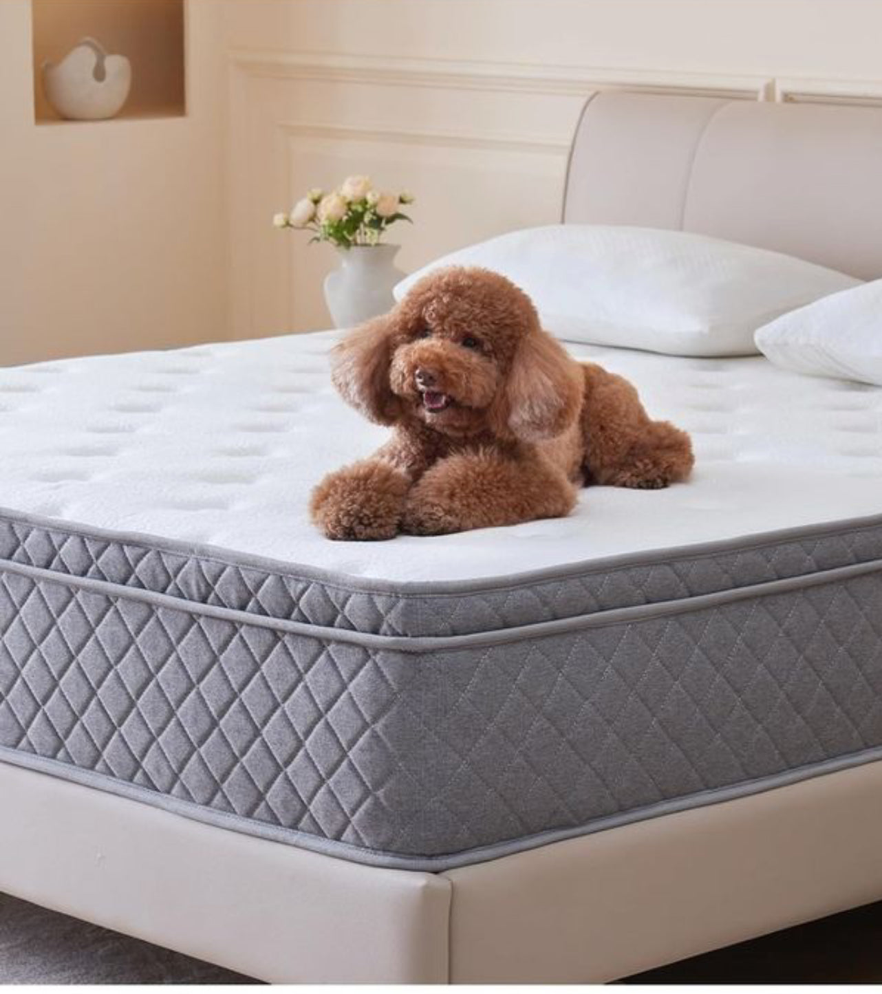 Double Mattress,8.6 Inch Double Bed Mattress with Breathable Foam Soft Fabric and Individually Pocket Spring