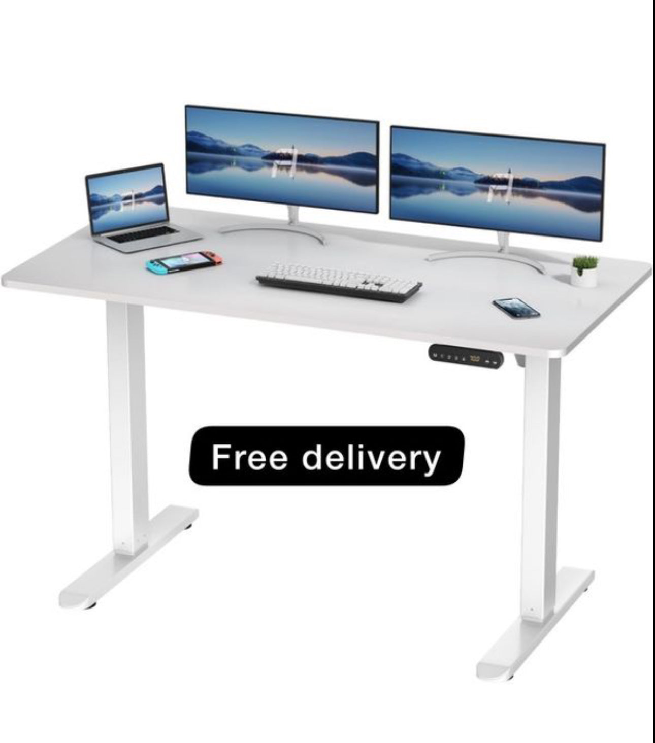 Electric Standing Desk