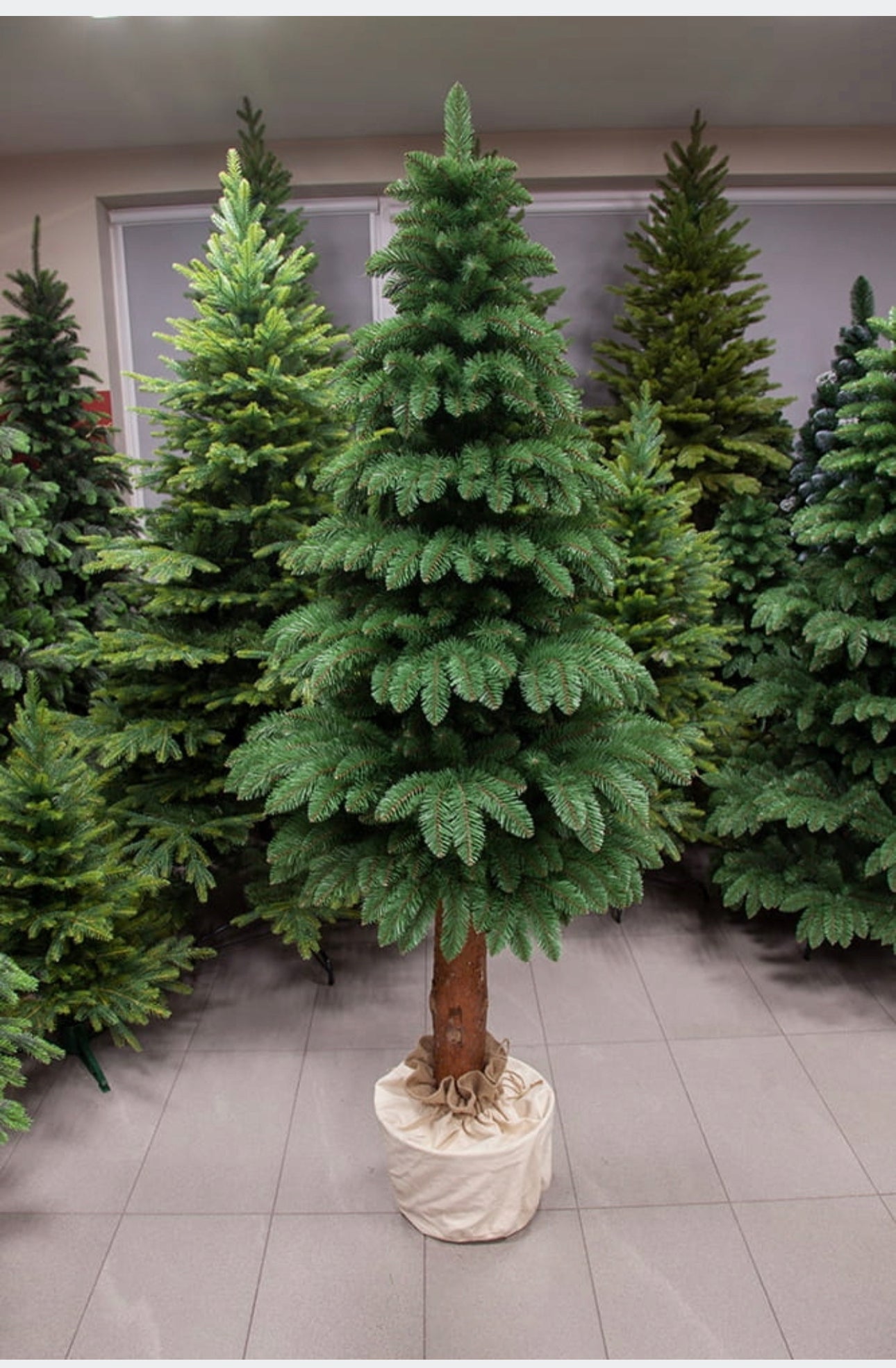 Christmas Tree 200 cm