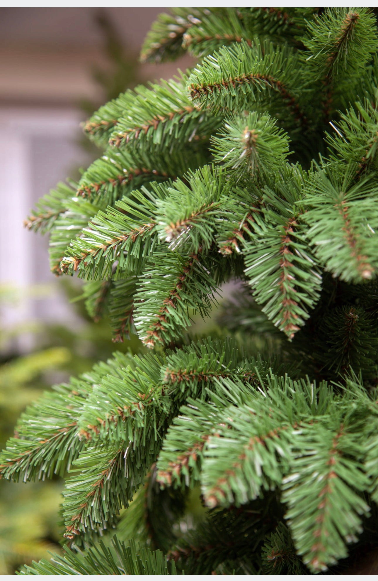 Christmas Tree 200 cm