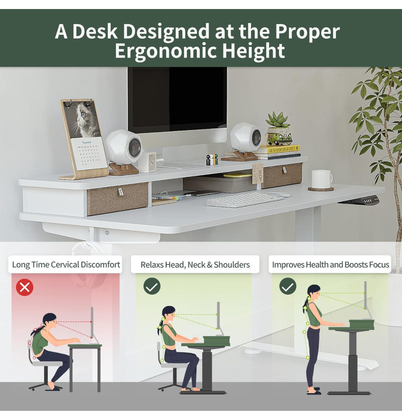 Electric Standing Desk