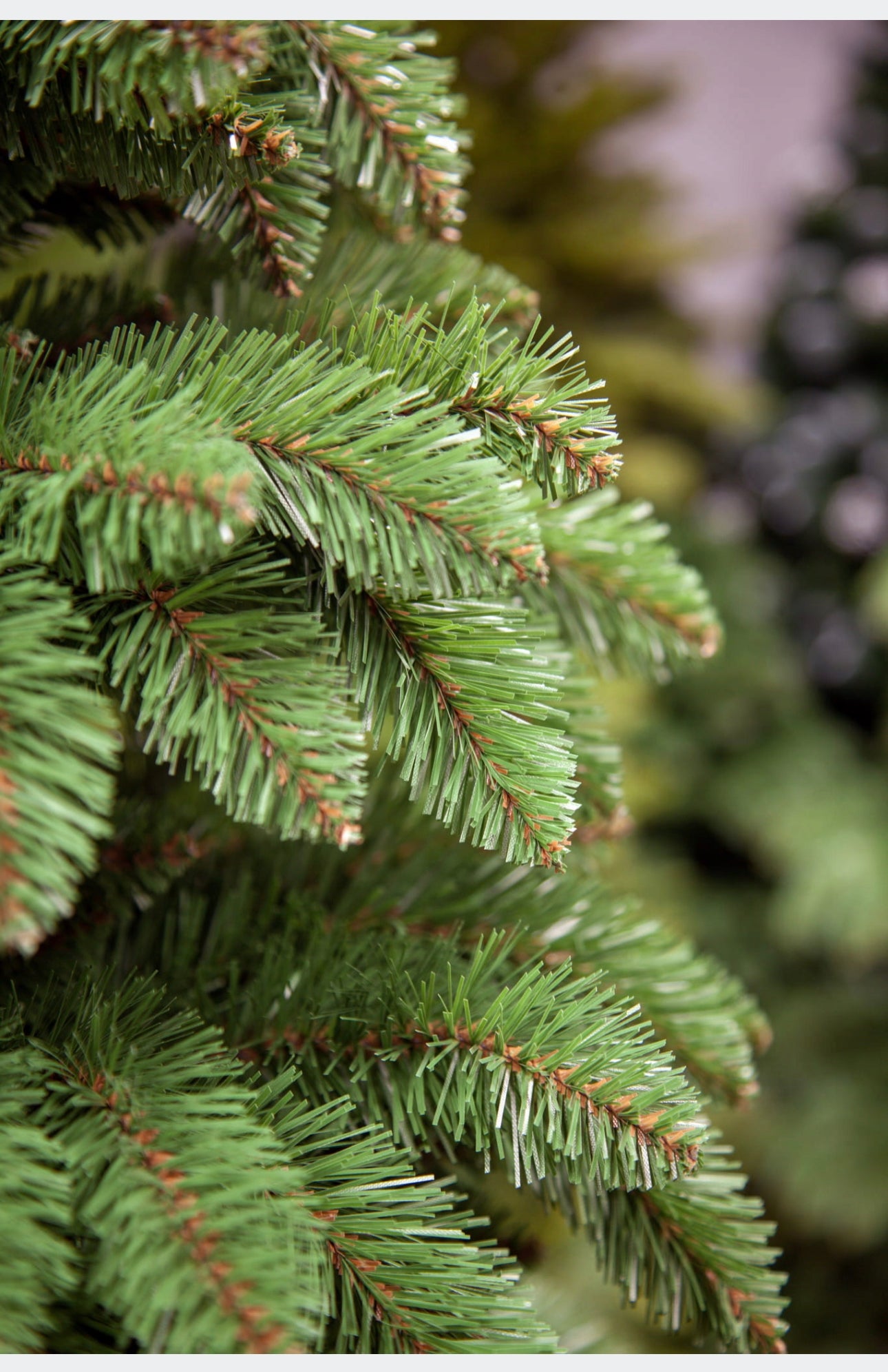 Christmas Tree 200 cm