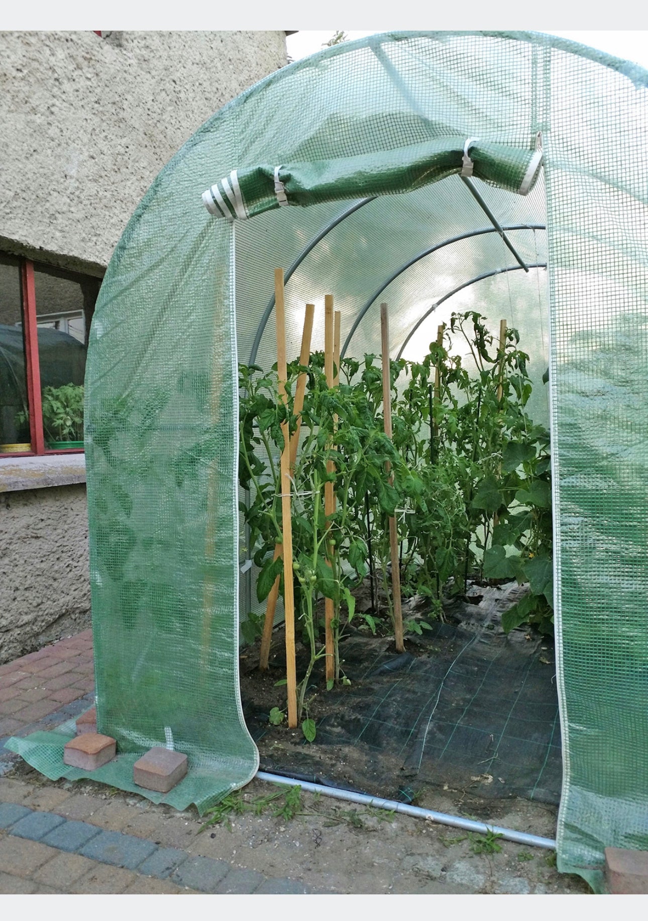 REPLACEMENT FOIL 250x400 cm FOR POLY TUNNEL FOIL
