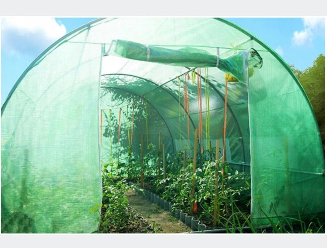 REPLACEMENT FOIL 250x400 cm FOR POLY TUNNEL FOIL