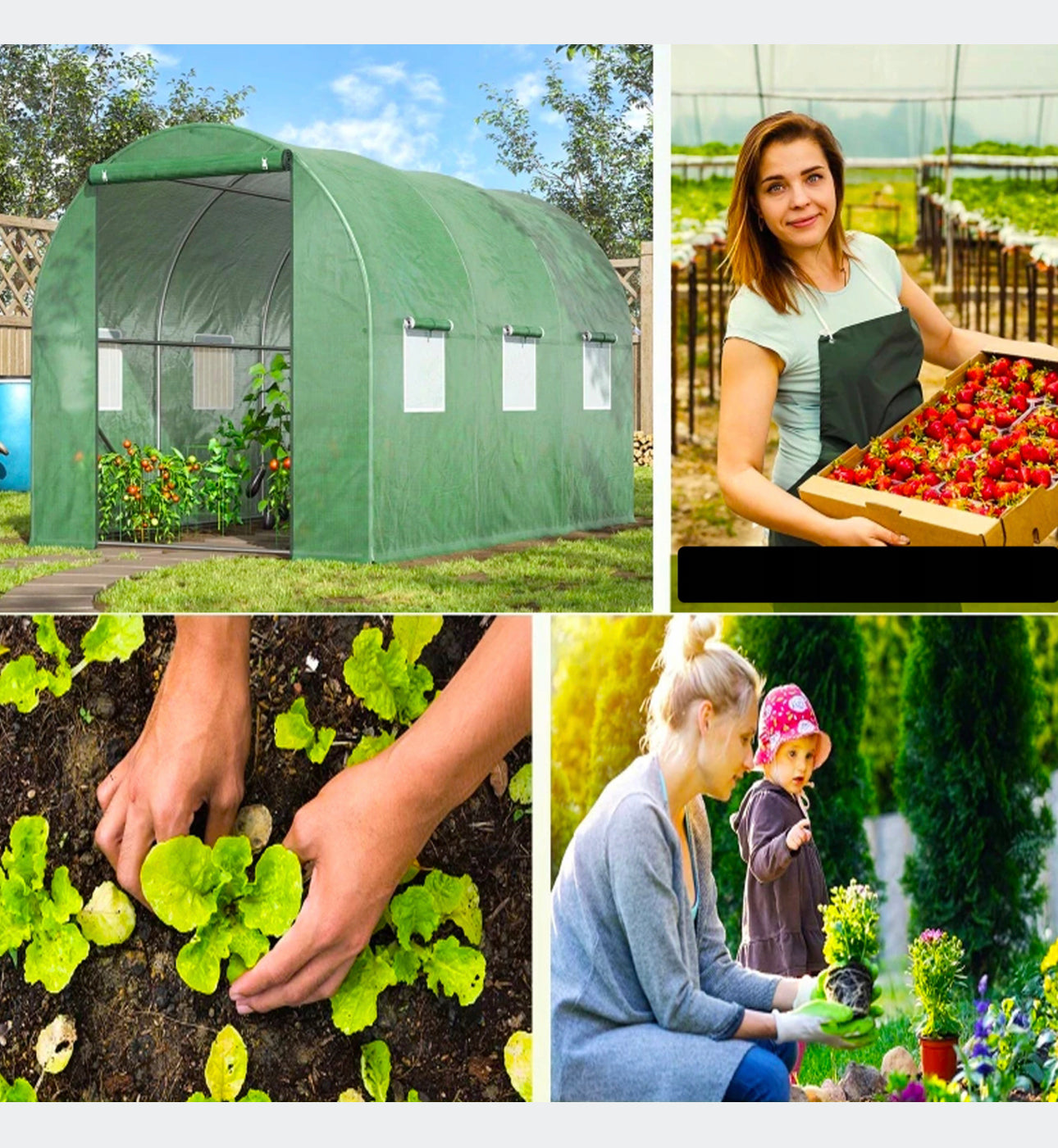 Polytunnel 6 m² 300 x 200 cm green