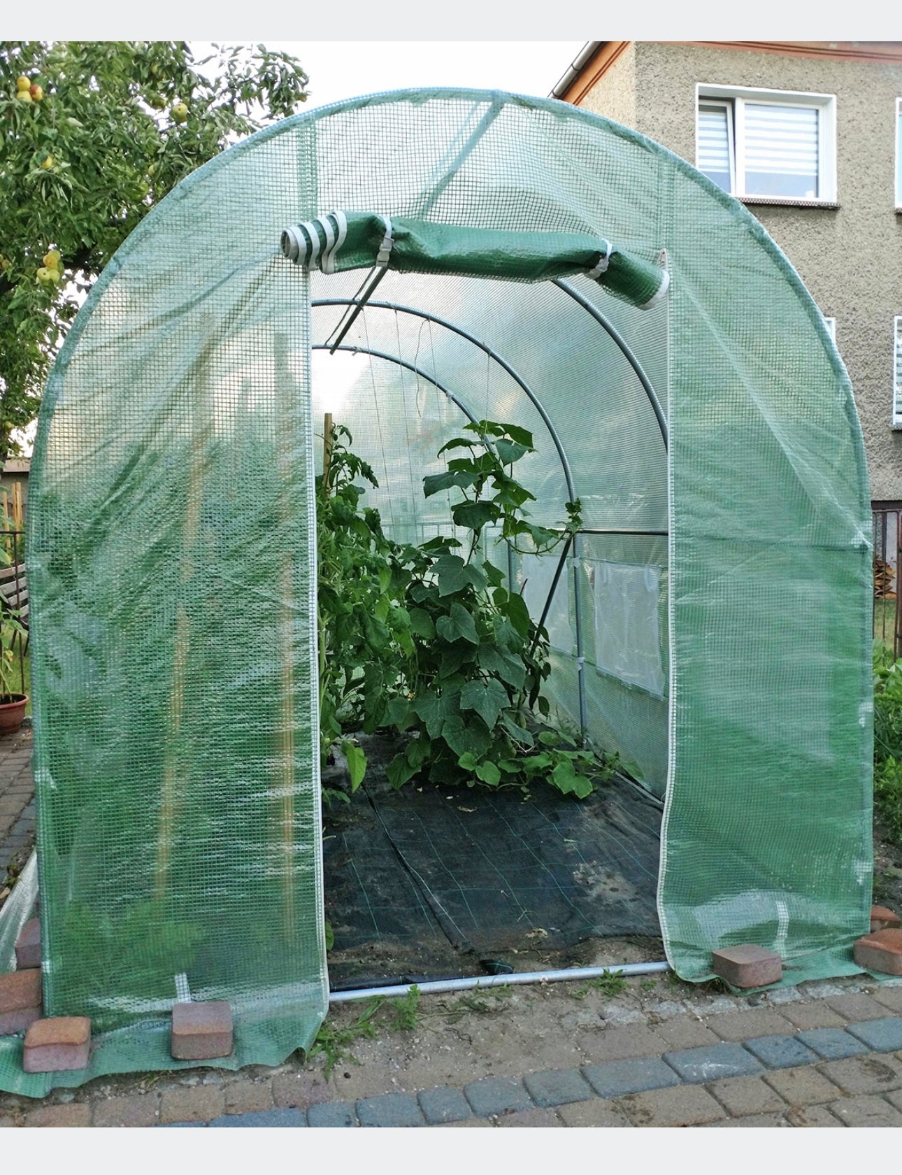 REPLACEMENT FOIL 250x400 cm FOR POLY TUNNEL FOIL