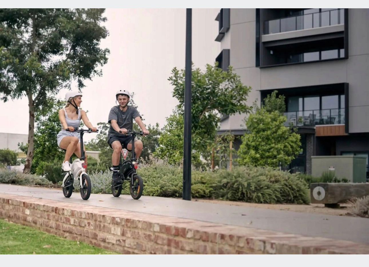 Electric bike